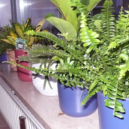 In Ehemaliger Bank Apartment Sinntal