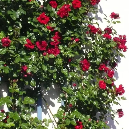 Apartment In Ehemaliger Bank *