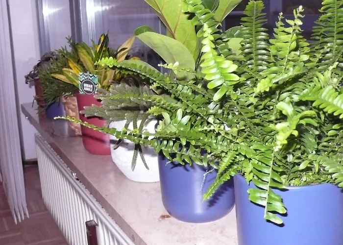 In Ehemaliger Bank Appartement Sinntal