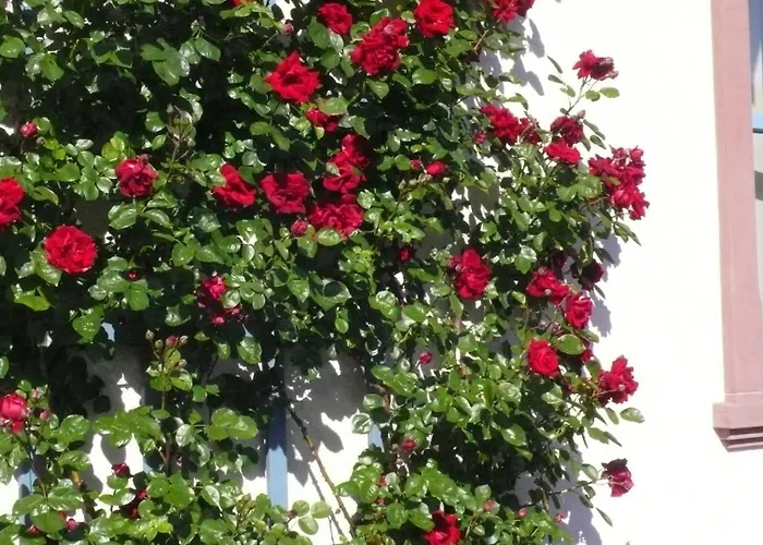 Appartement In Ehemaliger Bank *