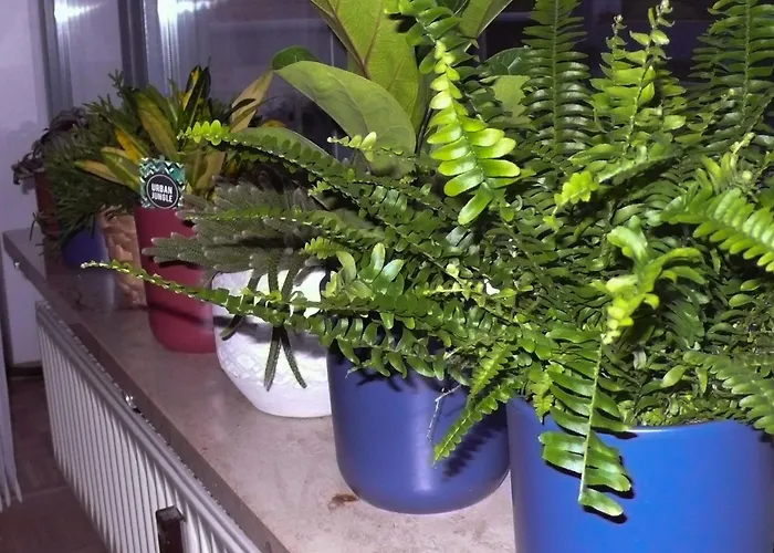 In Ehemaliger Bank Appartement Sinntal